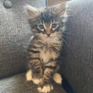 Meet your Posher, Kristin